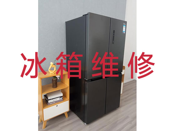 中山专业电冰箱安装